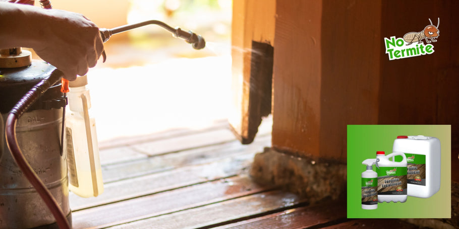 Os cupins podem causar sérios danos estruturais a uma casa?